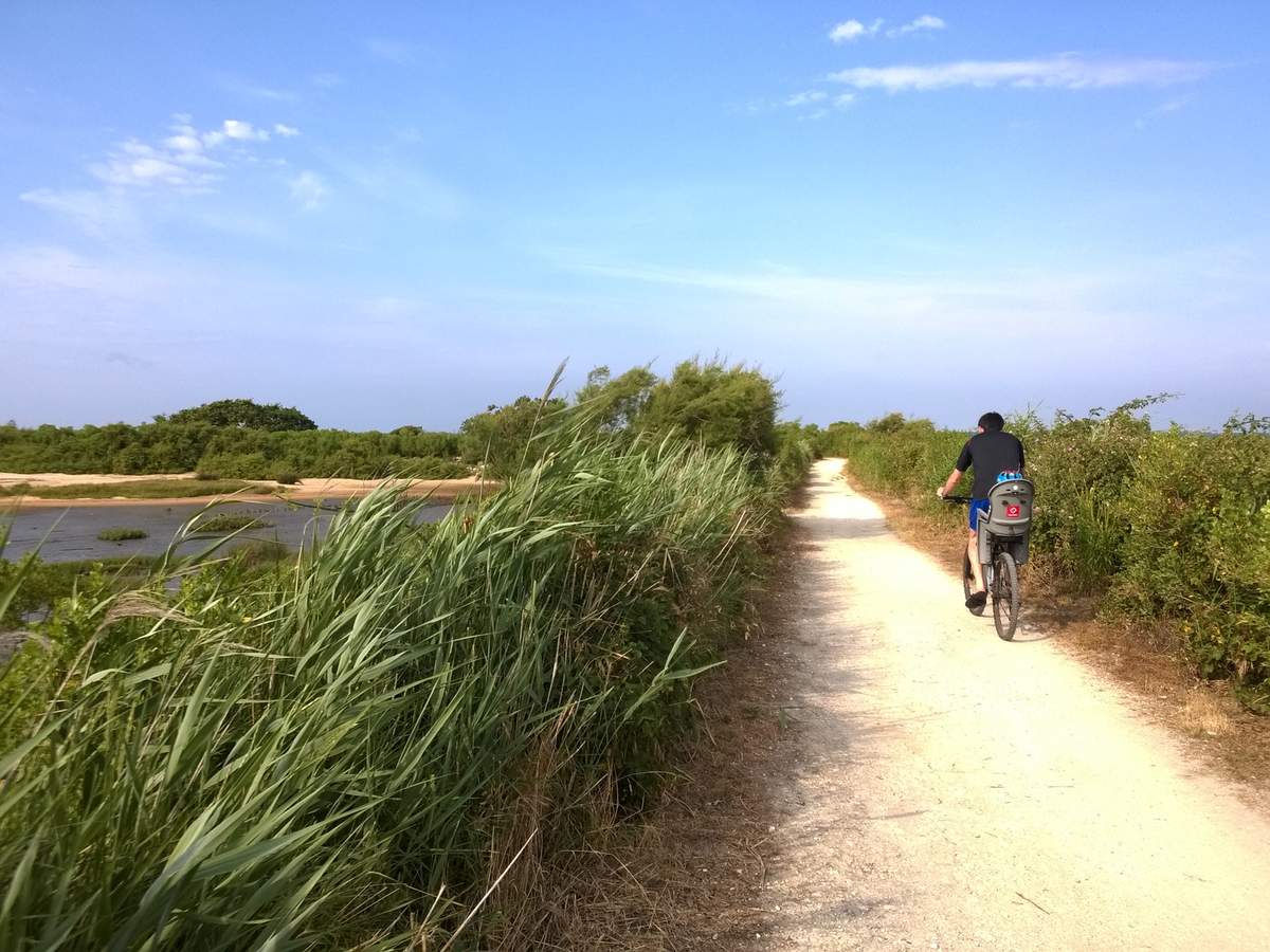 Gujan-Mestras: an escapade from port to port, on foot or by bike!